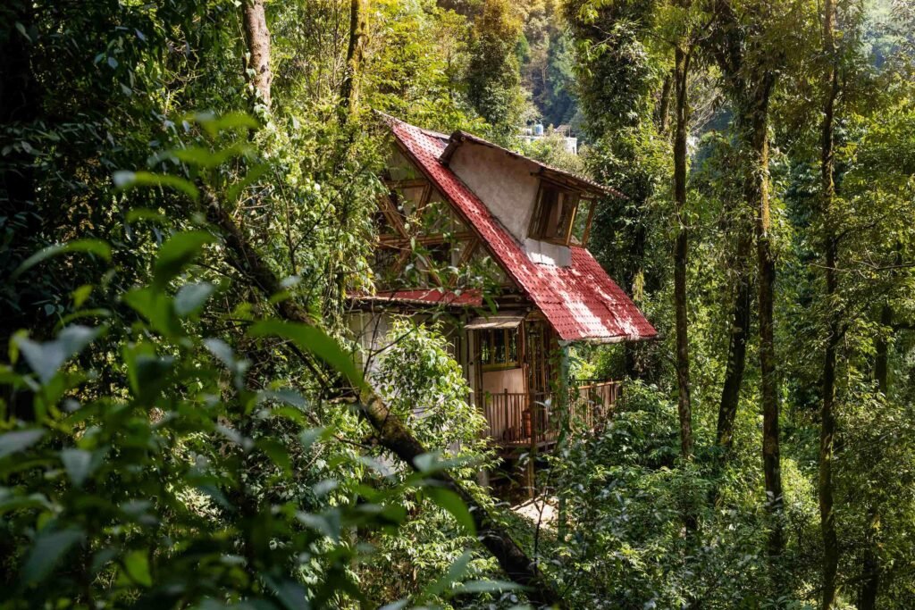 boutique homestay visual storytelling