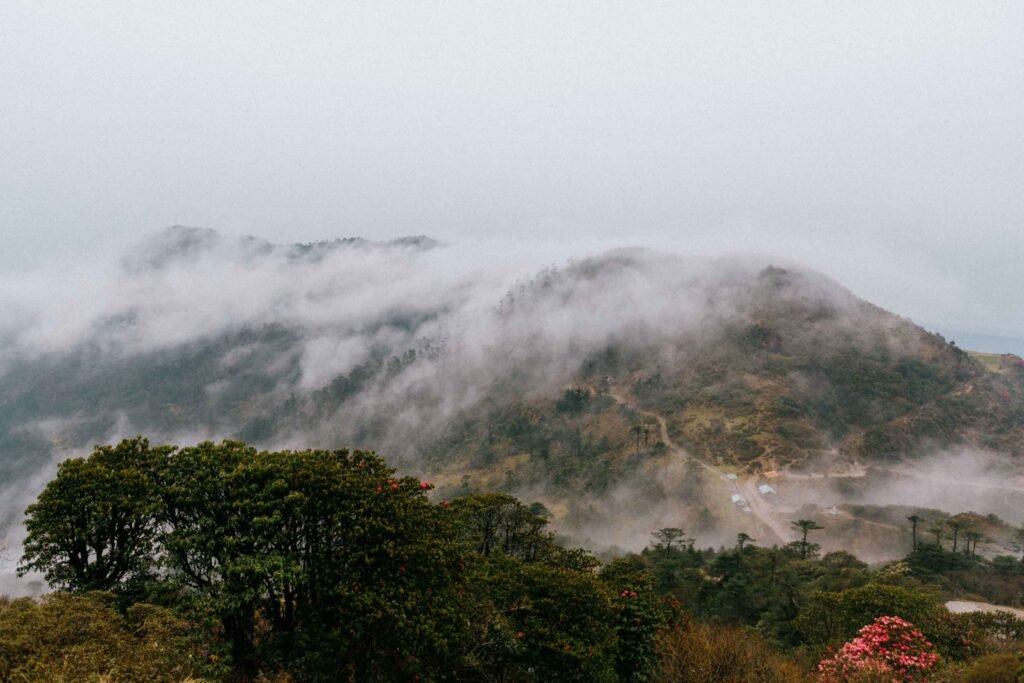 Darjeeling Hotel Visuals